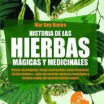 historia de las hiervas mágicas y medicinales